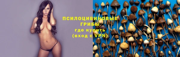 молекула духа Алексеевка