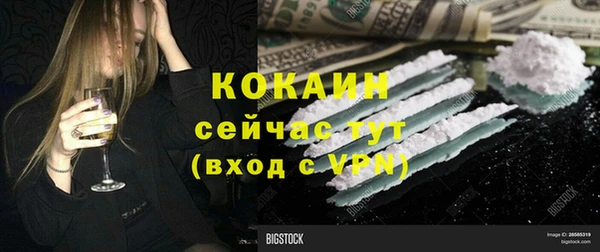 молекула духа Алексеевка