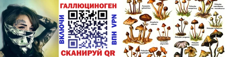 блэк спрут как зайти  маркетплейс какой сайт  Наволоки  Галлюциногенные грибы ЛСД  сколько стоит 